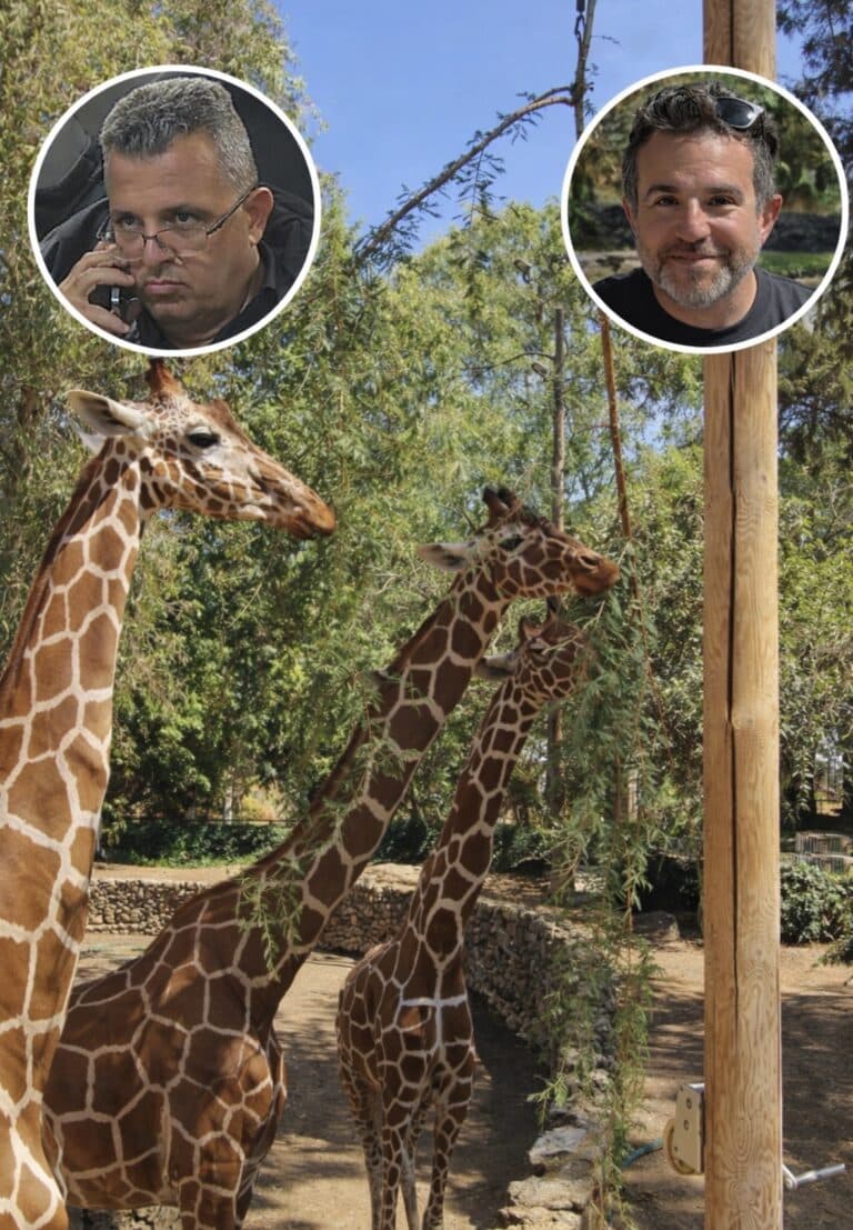 אחדות בעירייה: סגן ראש העיר רועי ברזילי חזר בו – ותמך בהסכם הספארי