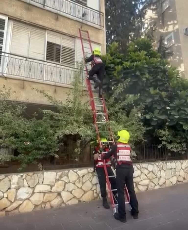בין הסורגים לרחמים : לוחמי האש הצילו היום בבוקר יונה פצועה בלב רמת גן