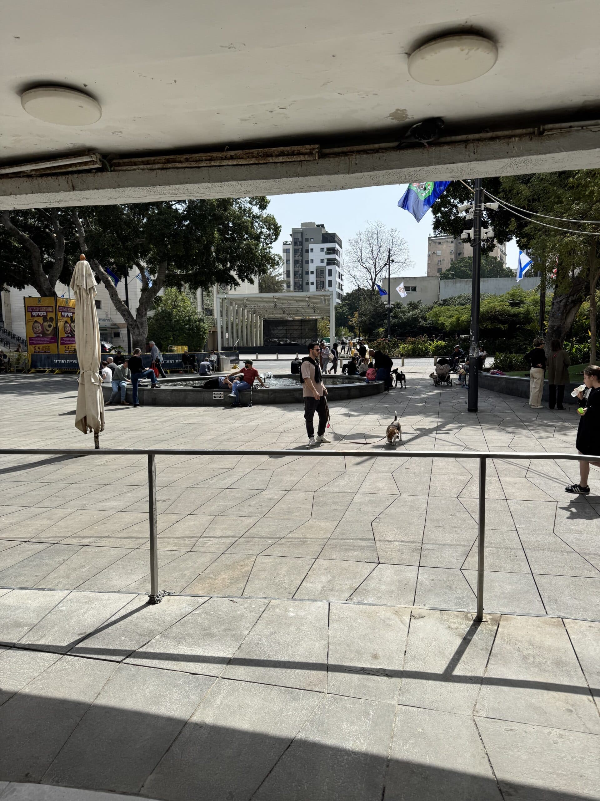 IMG_8387