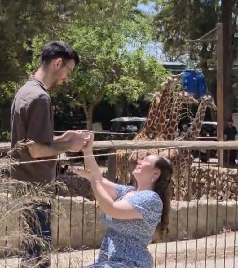 מול הג׳ירפות ובמקום שבו התחיל סיפור האהבה של בני הזוג.הצעת נישואין מרגשת במיוחד נערכה ביום שישי האחרון בספארי ברמת גן,
